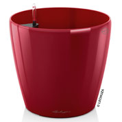 Classico Premium 60 - Vermelho Brilhante - LECHUZA